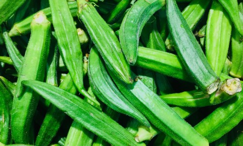青瓜属于凉性食物吗网 - 青瓜属于凉性食物吗?,青瓜属于寒凉食物吗
