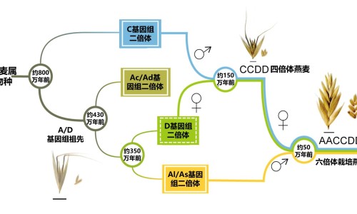 青瓜属于凉性食物吗还是热性-青瓜属于凉性食物吗网 - 青瓜属于凉性食物吗?,青瓜属于寒凉食物吗